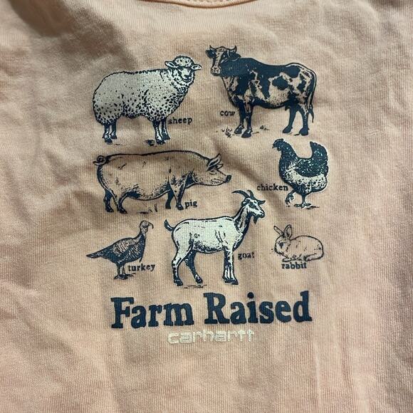 Carhartt Infant Girl's Farm Raised Onesie Size 9 Months Long Sleeve Ruffles - Picture 2 of 4